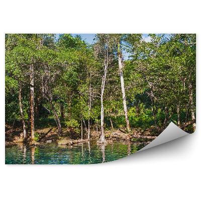 Fototapeta Jazero v tropickom lese