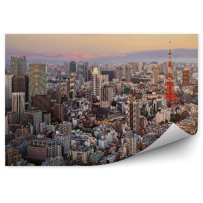 Fototapeta na stenu Tokio Mrakodrapy Stromy Budovy Obloha Mraky Západ Slnka