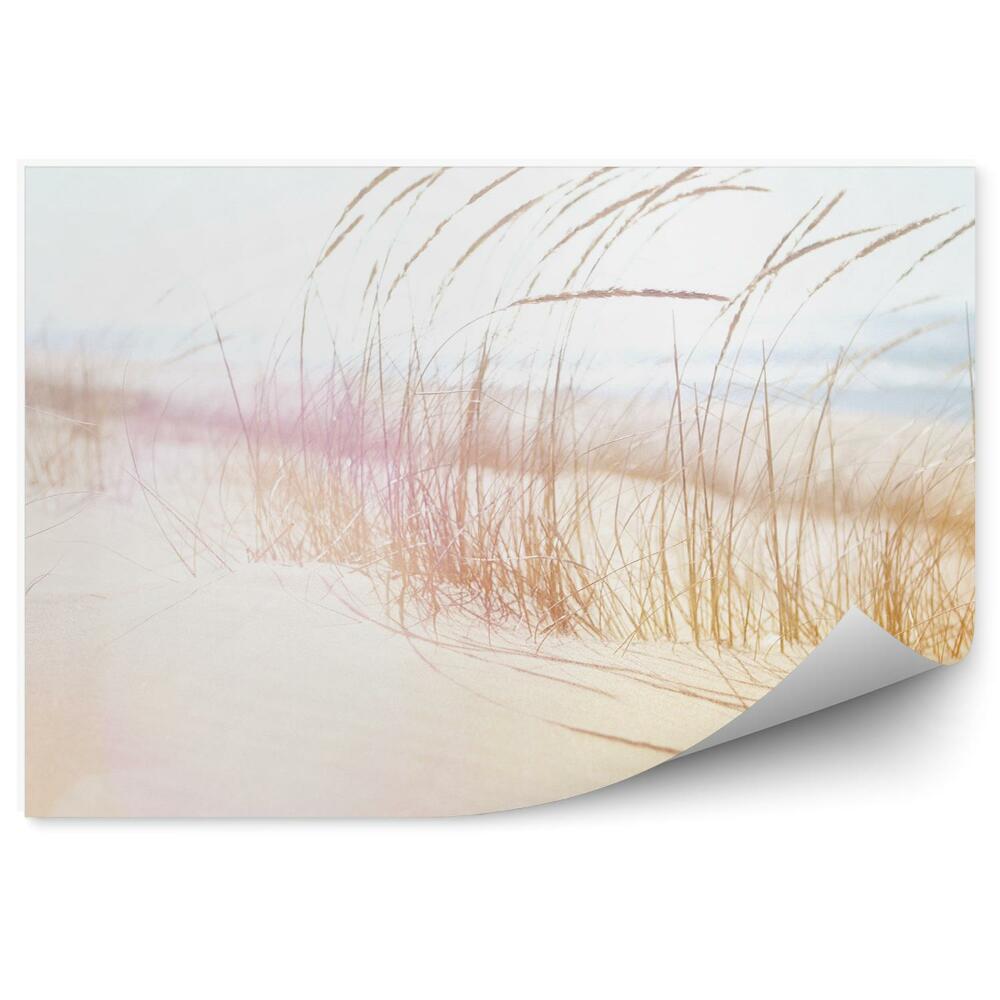 Fototapeta na stenu Pláž Tráva Oceán Piesok