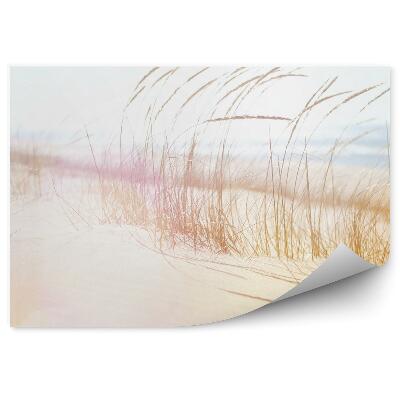 Fototapeta na stenu Pláž Tráva Oceán Piesok