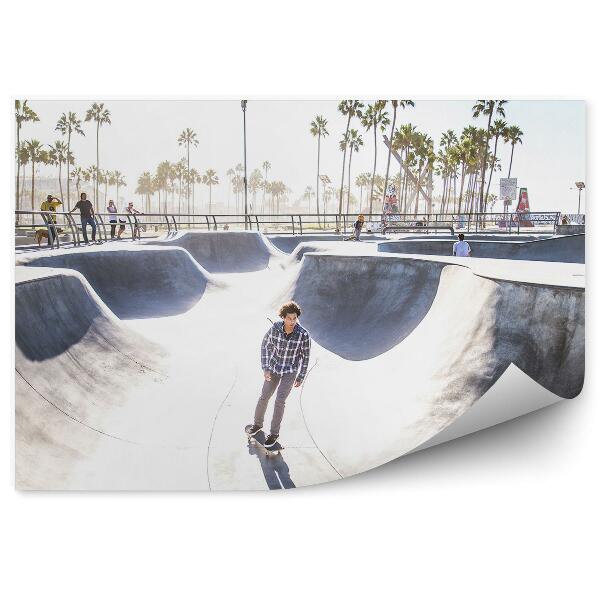 Fototapeta na stenu Skatepark palme najstnik nebo