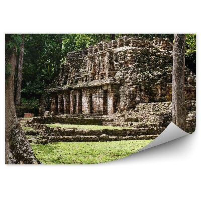 Fototapeta Ruiny Architektúra Maya Mexico