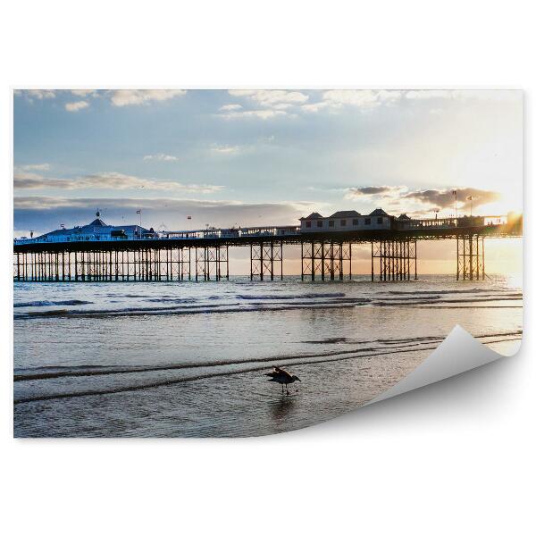 Fototapeta na stenu Brighton Mólo Lunapark Oceán Obloha Mraky Vták