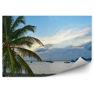 Fototapeta Pláž more Karibik palmy ležadlo lode obloha mraky