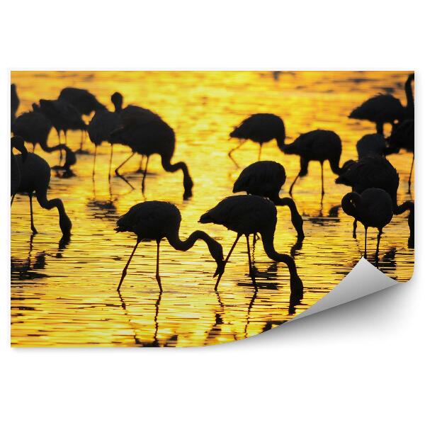 Fototapeta Plameniaky Na Úsvite Na Jazere Nakuru