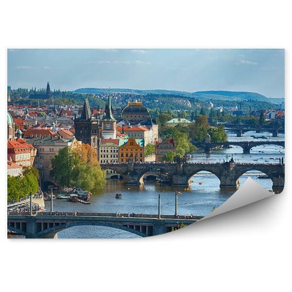 Fototapeta na stenu Praga mestna panorama narava