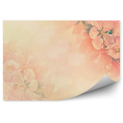 Fototapeta Oranžové Kvety Jabloní Pozadie