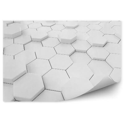 Fototapeta na stenu 3D šesťuholníky v perspektíve