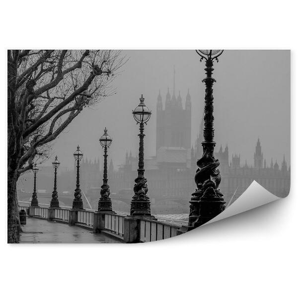 Fototapeta Hmla nad Londýnom Big Ben stromy lucerna