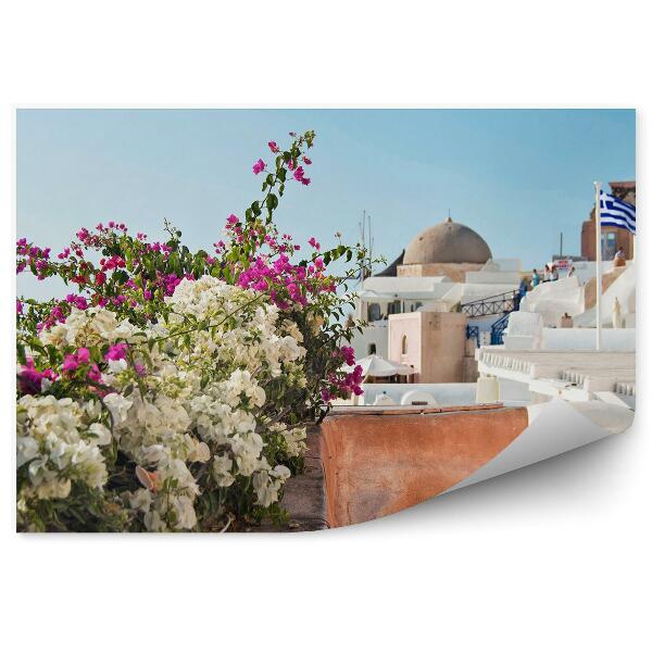 Fototapeta Kvety rastliny budovy obloha Santorini Grécko vlajka
