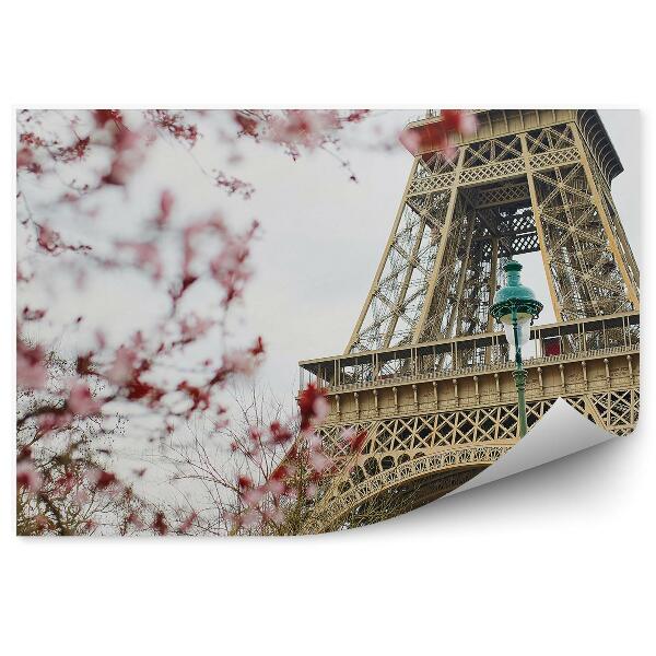 Fototapeta na stenu Rozkvitnutá čerešňa Eiffelova veža lampy stromy Paríž Francúzsko
