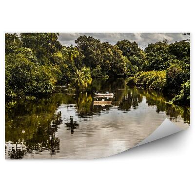 Fototapeta Rybárske člny voda rieka palmy zeleň