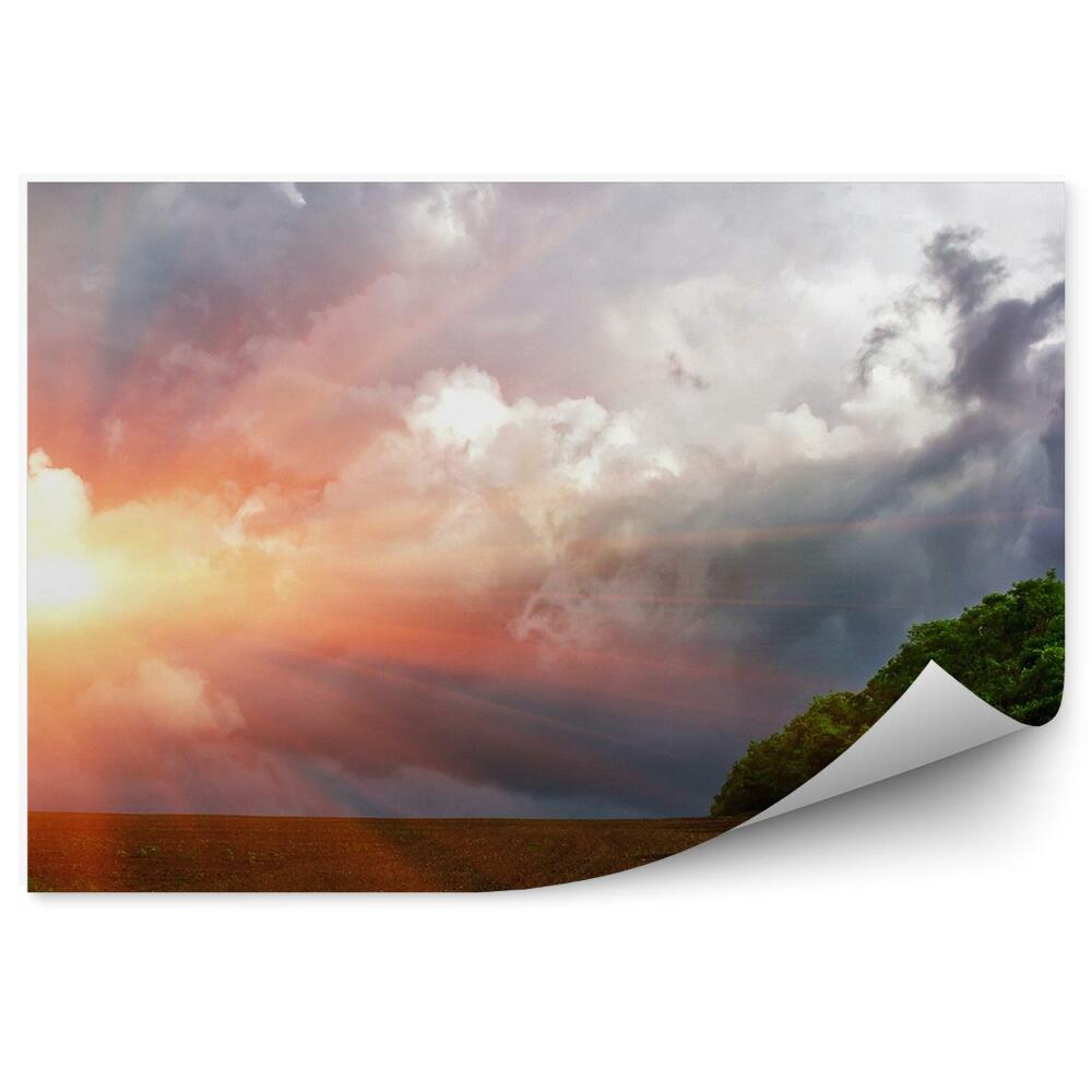 Fototapeta na stenu Pole Stromy Západ Slnka Mraky