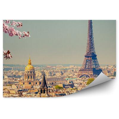 Fototapeta Cvetje na drevesu panorama mesta Pariz