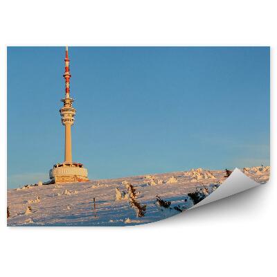 Fototapeta na stenu Sneh zimné sudety modrá obloha