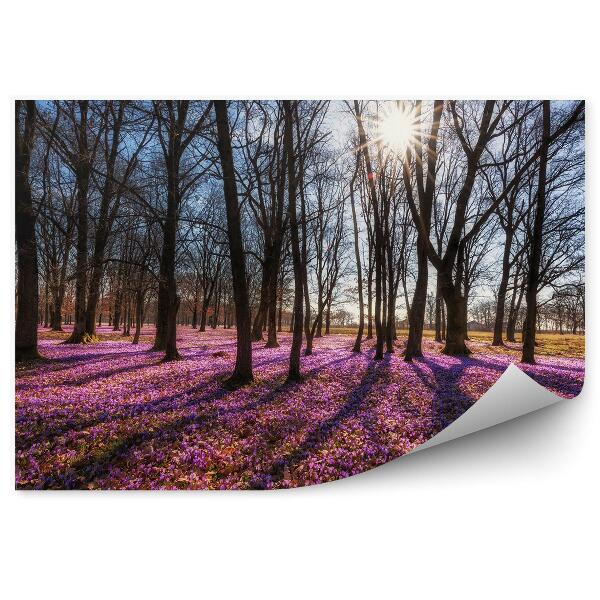 Fototapeta na stenu Slnečný lesný koberec ľalie