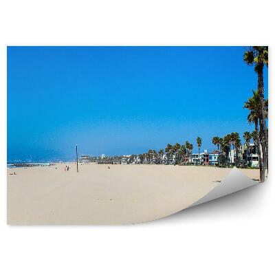 Fototapeta Pláž Piesok Voda Leto Palmy