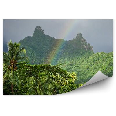 Fototapeta Dúha Palma Rastliny Hory