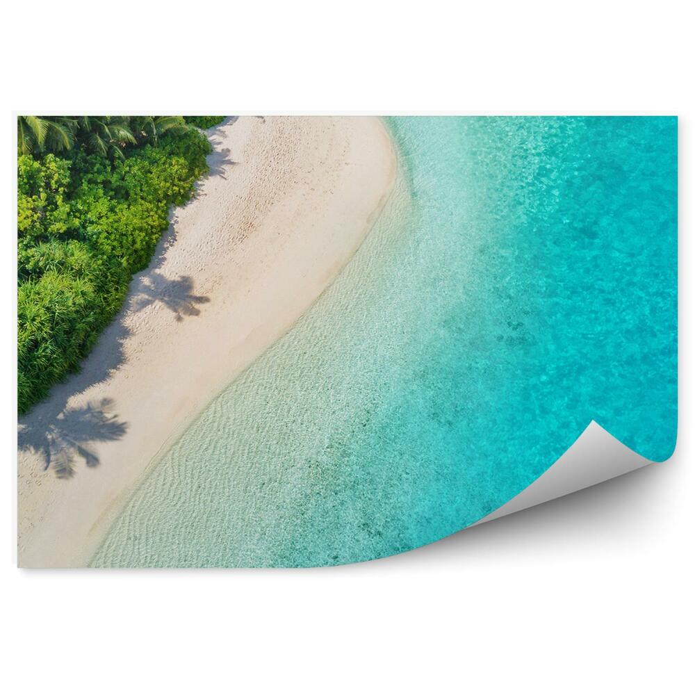 Fototapeta Tropická Pláž Maledivy Palmy Voda