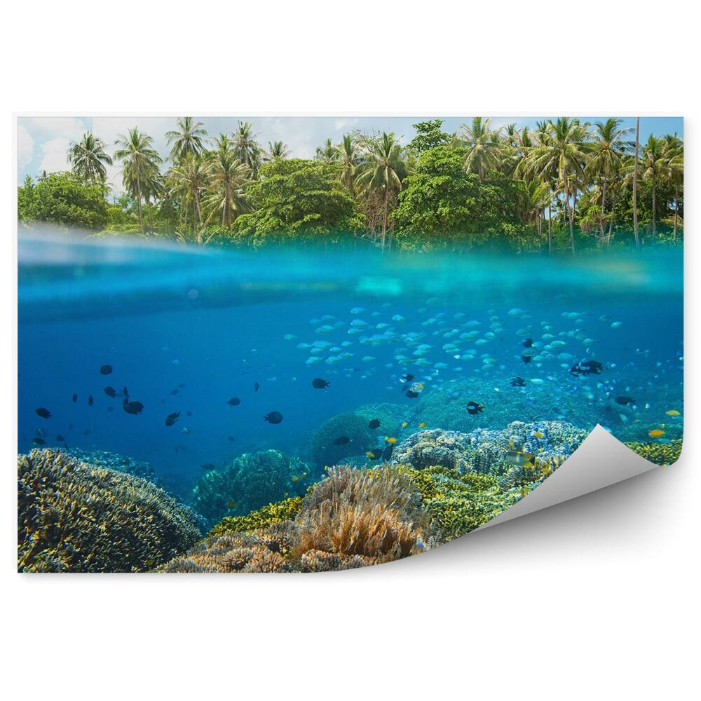 Fototapeta na stenu Ryby koralový útes tropy palmy vodná línia