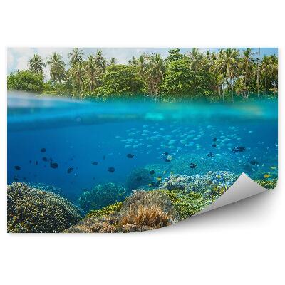 Fototapeta na stenu Ryby koralový útes tropy palmy vodná línia