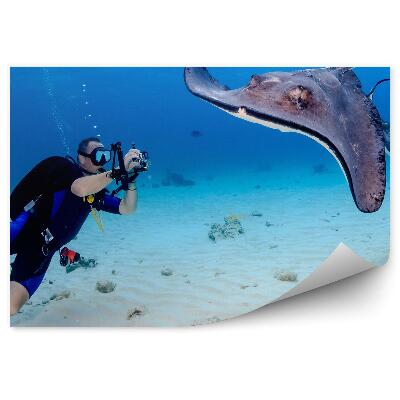 Fototapeta na stenu Potápač Pod Vodou Fotografie Piesok