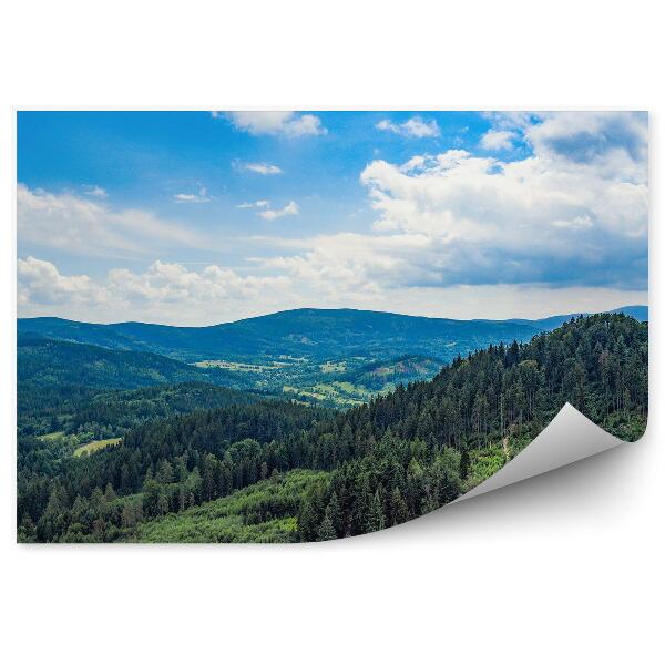 Fototapeta Horské lesy zelená vegetácia v Krkonošiach