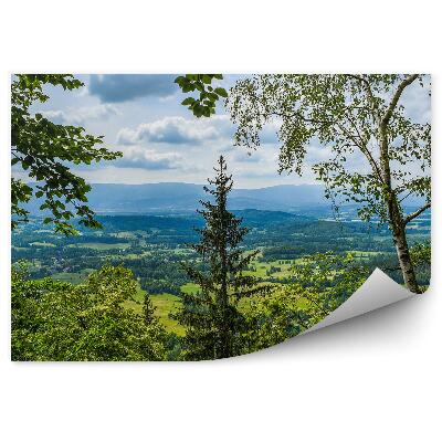 Fototapeta na stenu Pohľad z lesa na horské poľany dediny