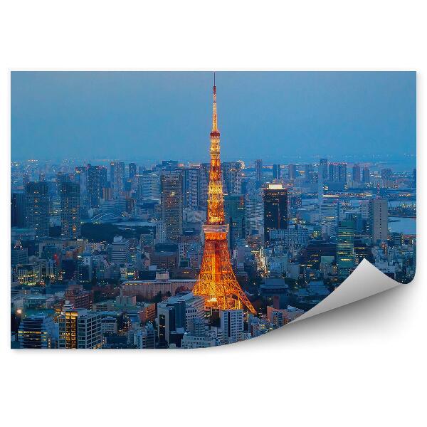 Fototapeta na stenu Tokijská veža symbol hlavného mesta japonsko noc