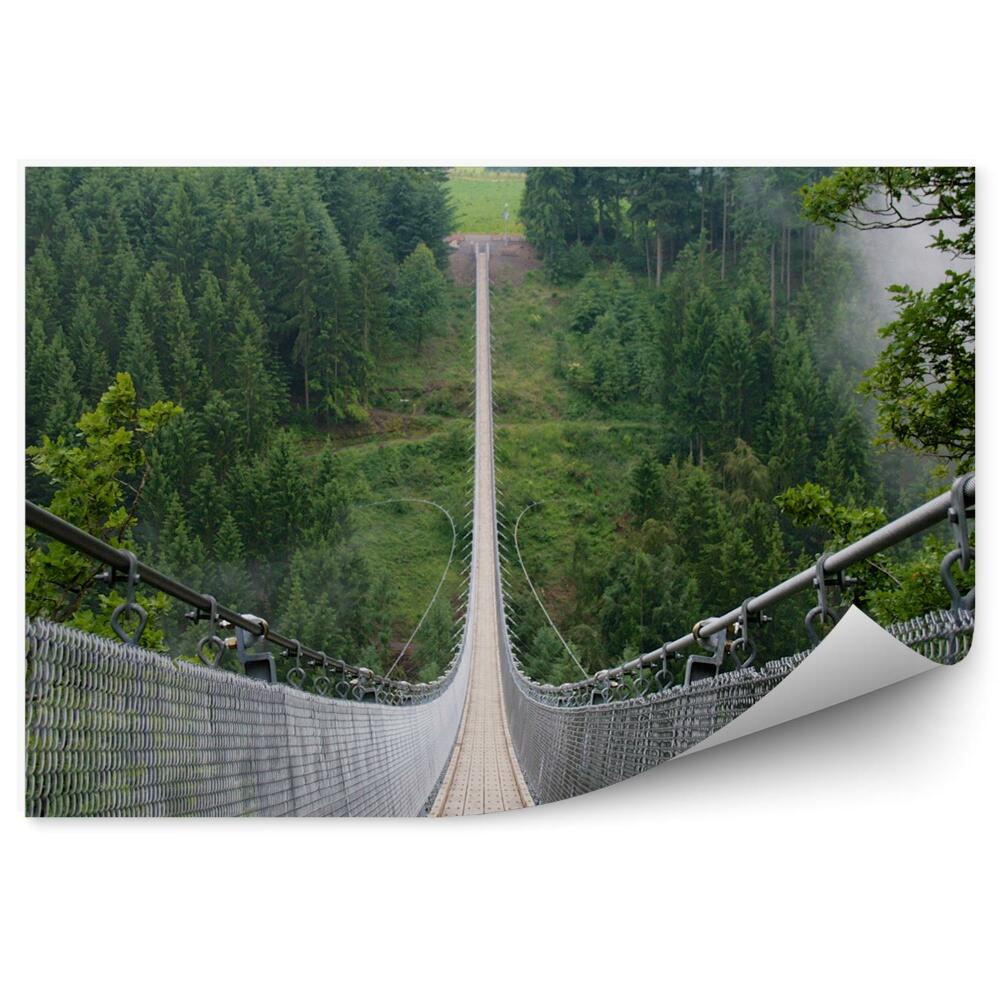 Fototapeta Dlhý visutý most nad priepasťou