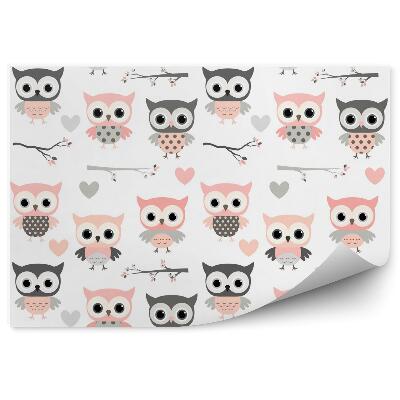 Fototapeta Kreslené ružové sovy
