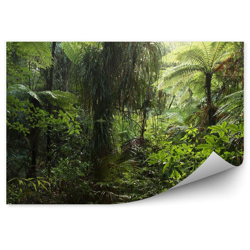Fototapeta na stenu Hustá džungľa zelená vegetácia príroda