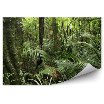 Fototapeta na stenu Lesné stromy listy kríky zelená krajina