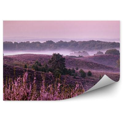 Fototapeta na stenu Vresovisko V Hmle