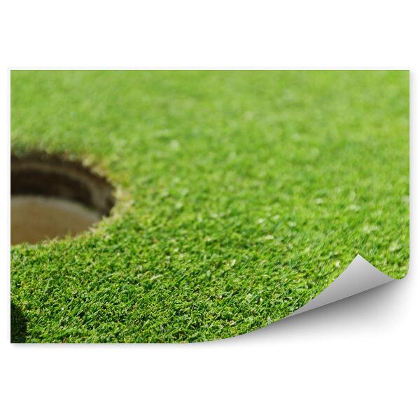 Fototapeta na stenu Žogica za golf luknja trava