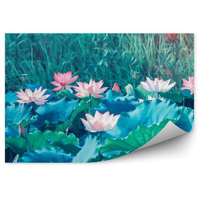 Fototapeta Kvitnúce Lekná Na Lúčnom Pozadí