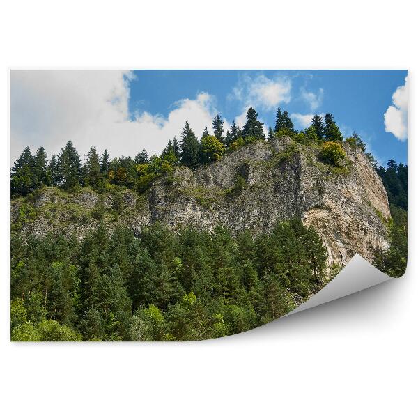Fototapeta na stenu Sokolica pieniny vrchol hory zamračená obloha