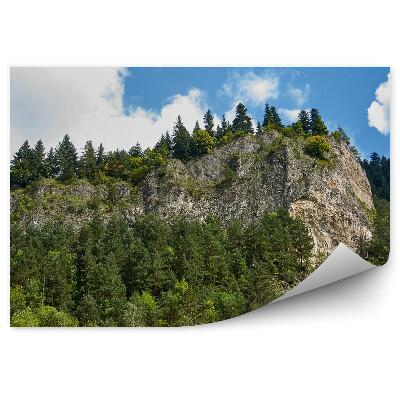 Fototapeta na stenu Sokolica pieniny vrchol hory zamračená obloha