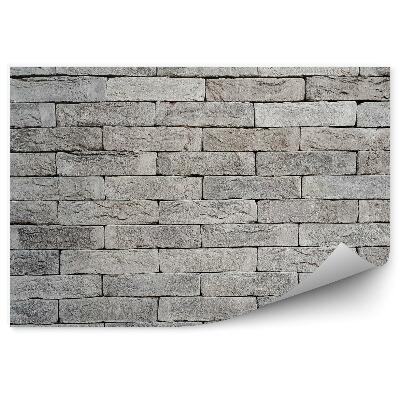 Fototapeta Šedá tehlová stena