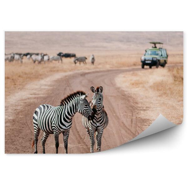 Fototapeta na stenu Zebry Cestné Auto Safari Zvieratá