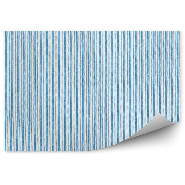 Fototapeta Jemné modré pruhy