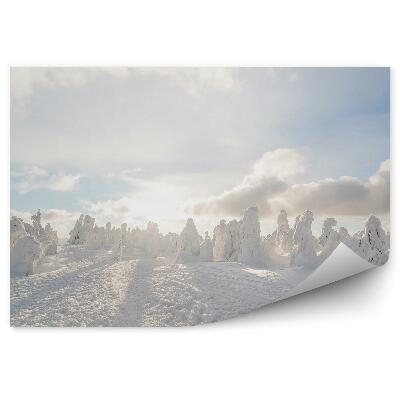 Fototapeta na stenu Zimná kupola snehové záveje biela krajina