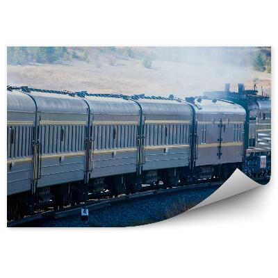 Fototapeta Nákladný Vlak Železničné Trate Príroda