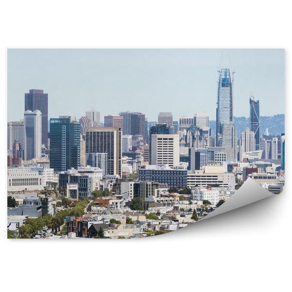 Fototapeta na stenu Mrakodrapy mesto San Francisco rastliny