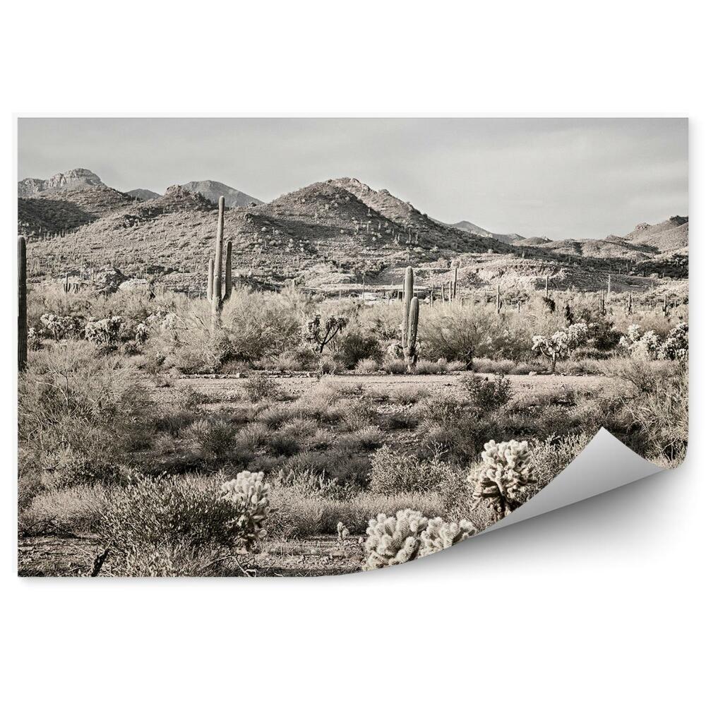 Fototapeta na stenu Sepia Kaktusy Rastliny Stromy Obloha Mraky Púšť