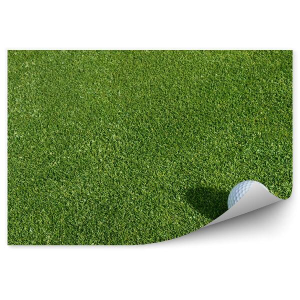 Fototapeta Žogica za golf trava