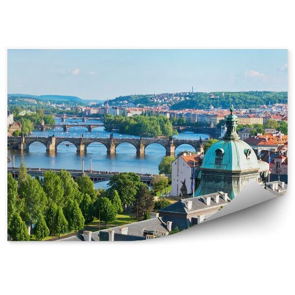 Fototapeta Praga mostovi poletje zelenje vegetacija