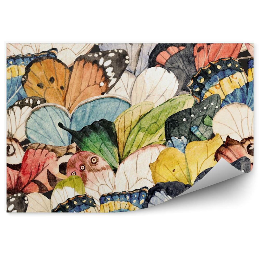 Fototapeta na stenu Motýlie krídla