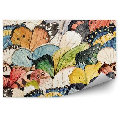 Fototapeta na stenu Motýlie krídla