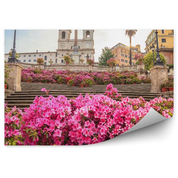 Fototapeta Kostol Trinità dei Monti budovy schody kvety rastliny